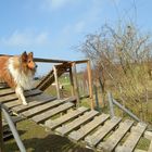 Hängebrücke