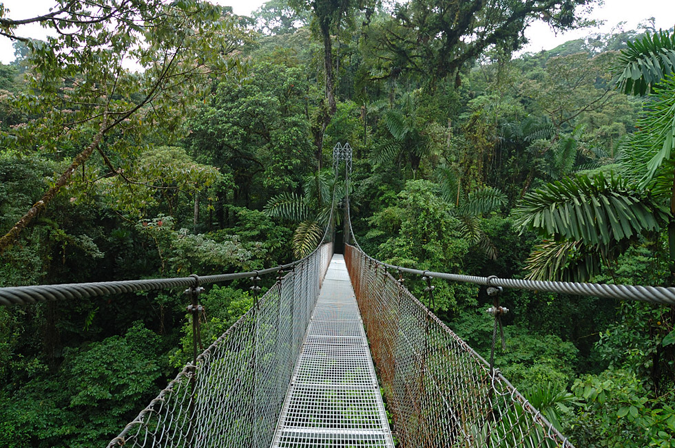 Hängebrücke am Arenal