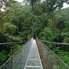 Hängebrücke am Arenal