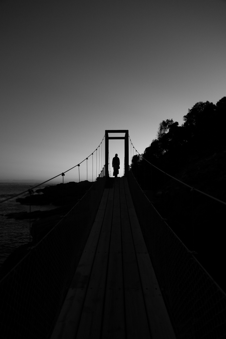 Hängebrücke am Meer