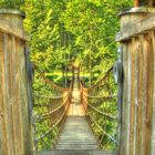 Hängebrücke am Rothaarsteig