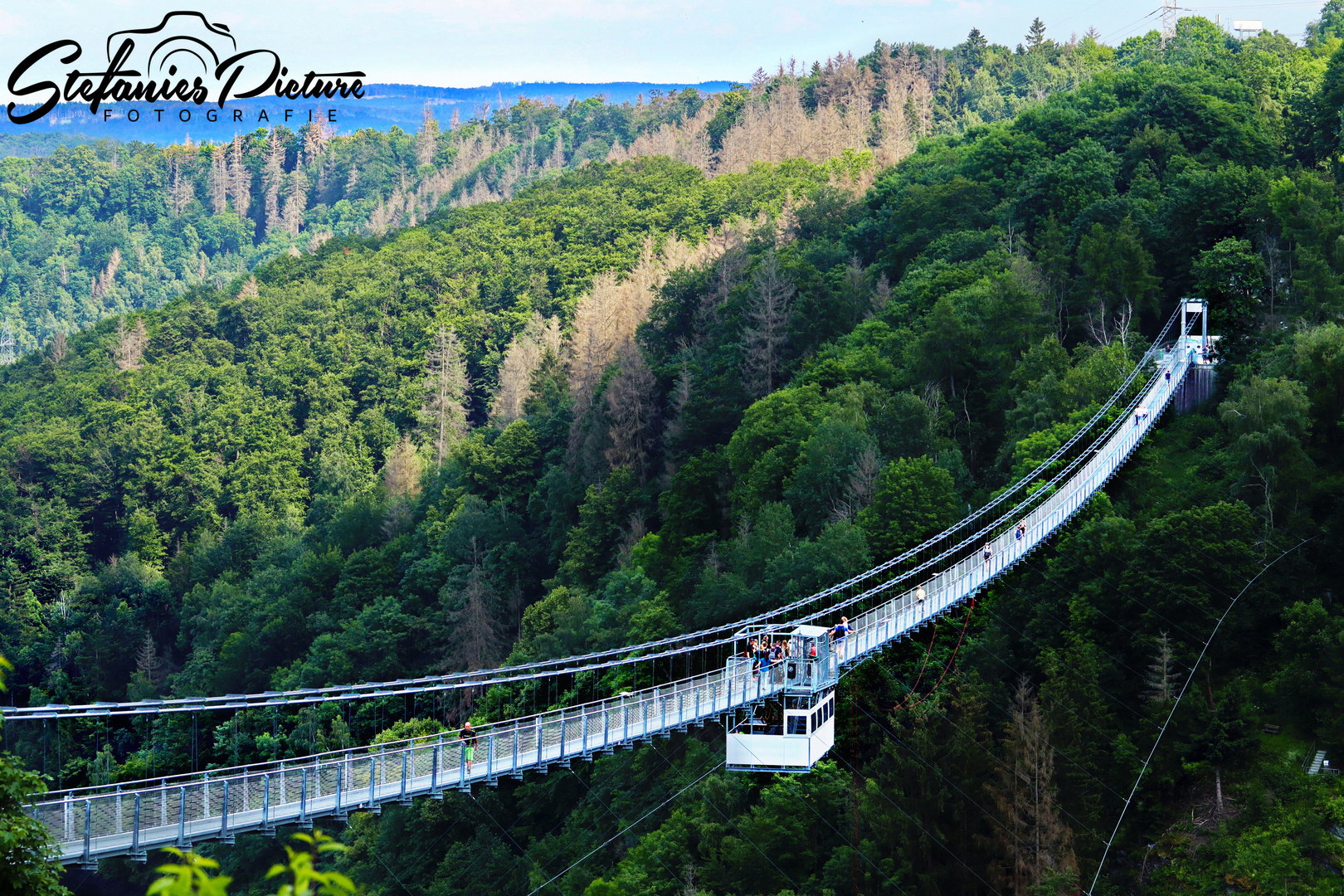 Hängebrücke an der Rappbodetalsperre