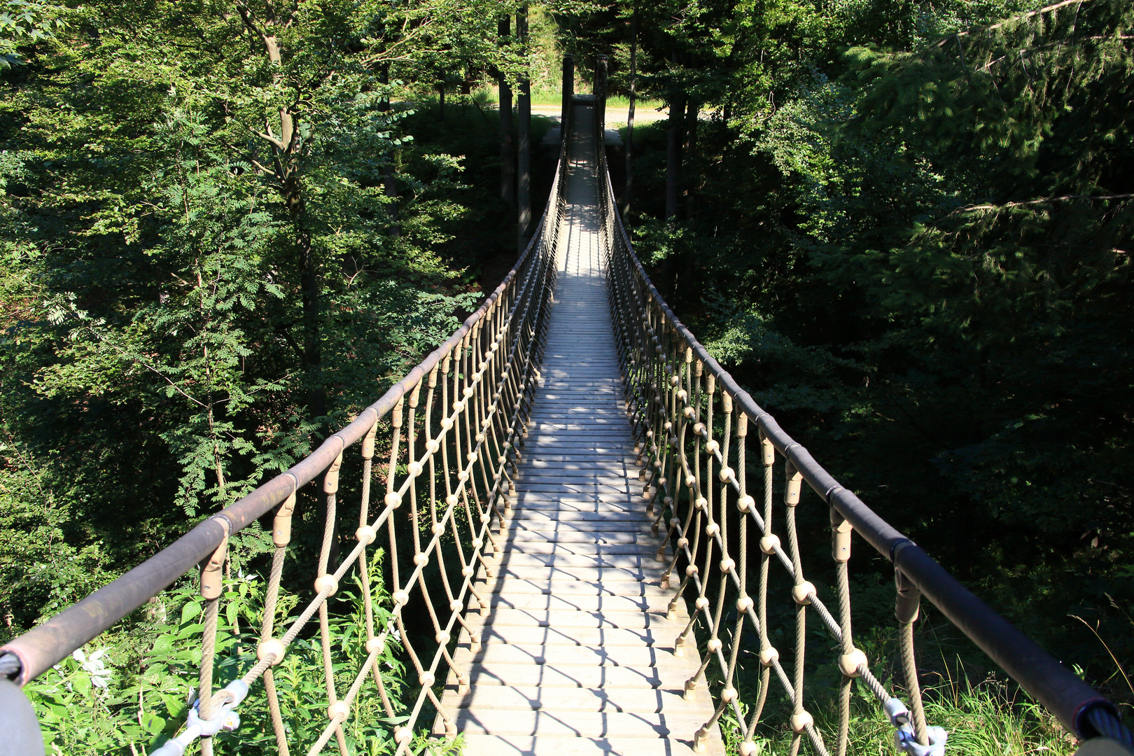 Hängebrücke auf dem Skulpturenwanderweg im Sauerland