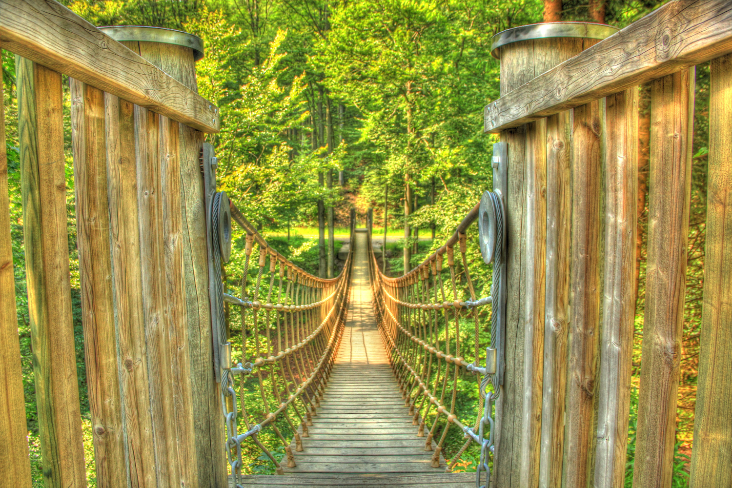 Hängebrücke auf dem Waldskulpturenweg