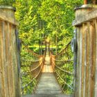 Hängebrücke auf dem Waldskulpturenweg
