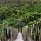 Hängebrücke durch den Dschungel