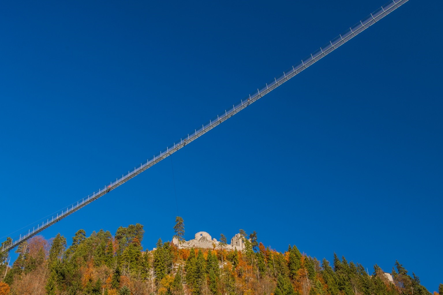 Hängebrücke Ehrenberg