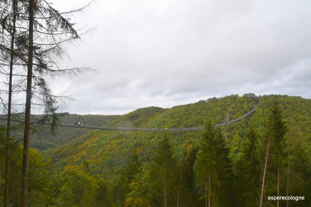 Hängebrücke Geierlay 2