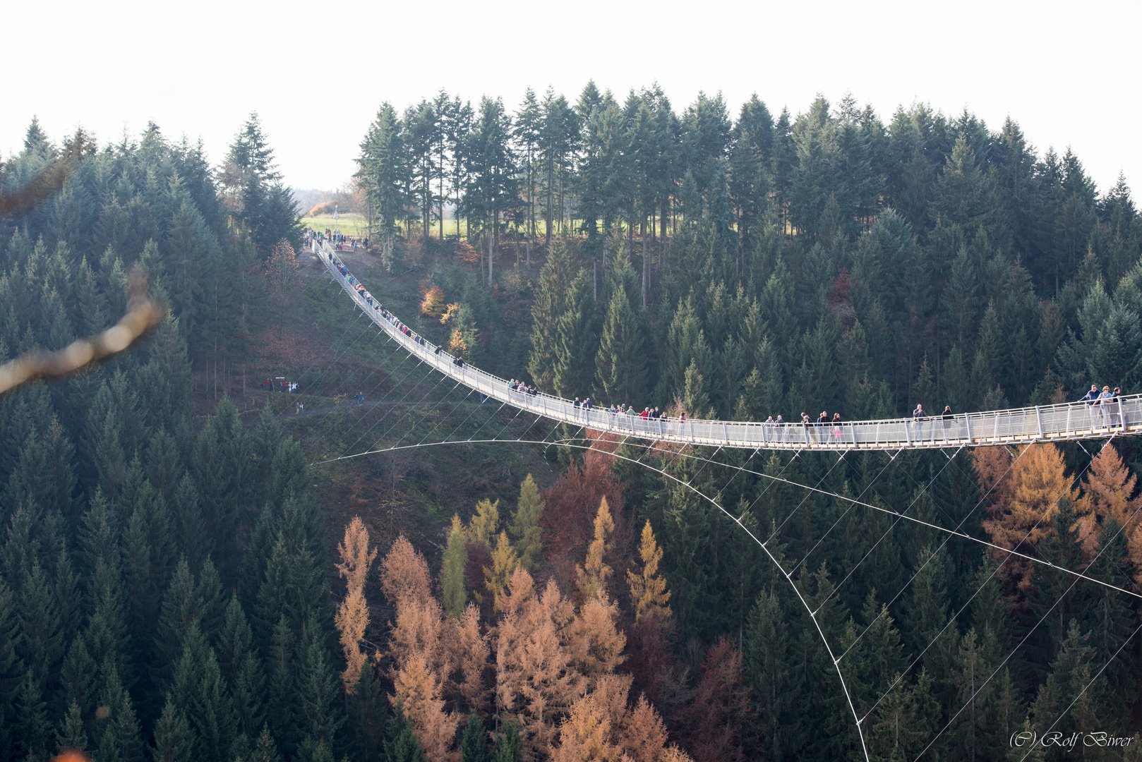 Hängebrücke Geierlay