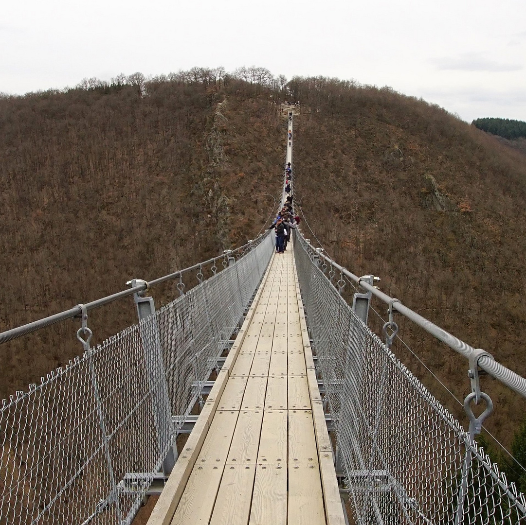 Hängebrücke Geierlay ( Ausschnitt)