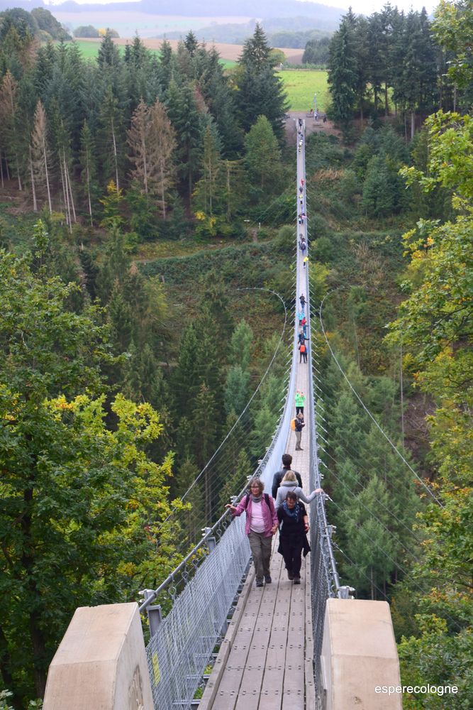 Hängebrücke Geierlay