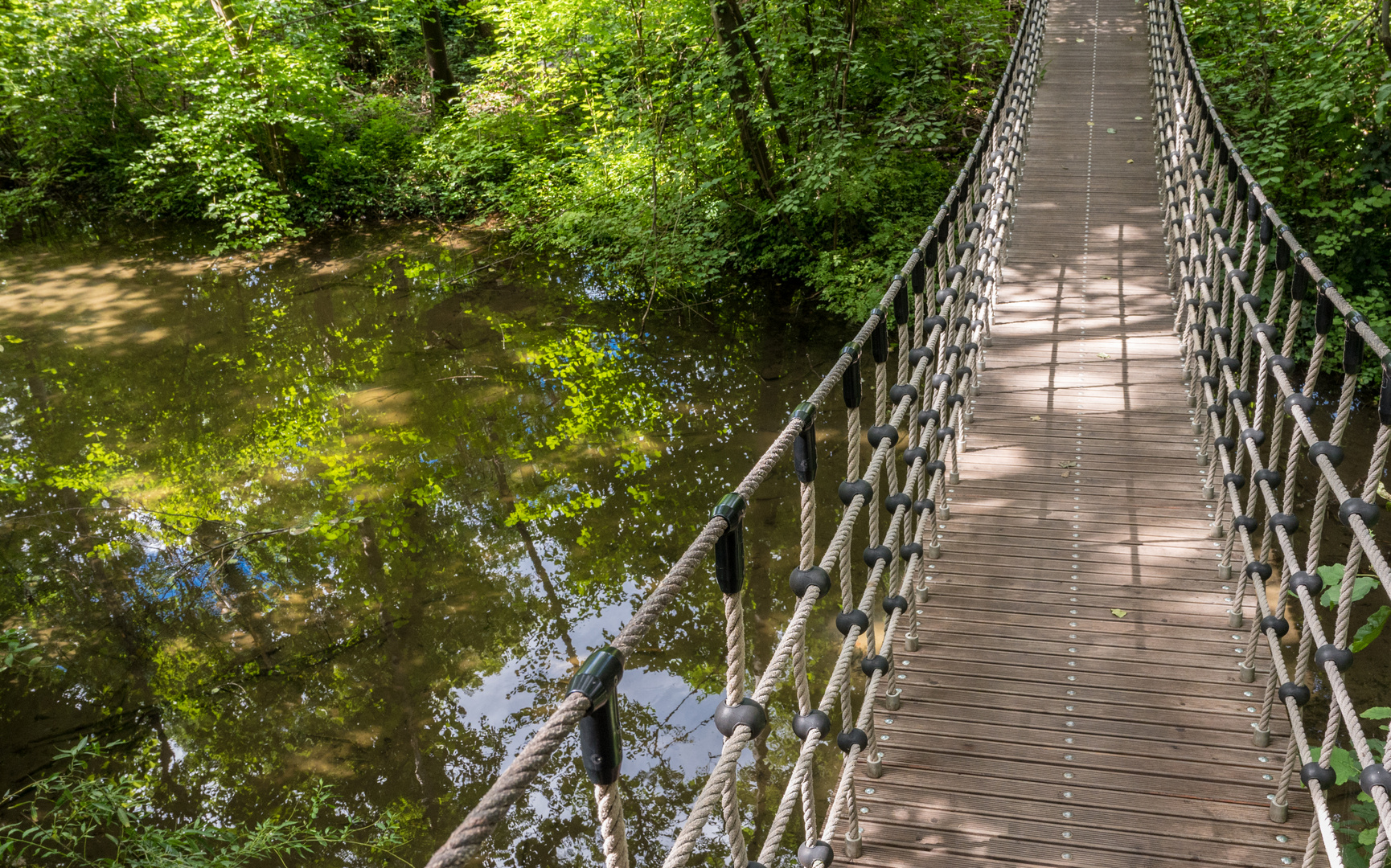 Hängebrücke im Auenwald