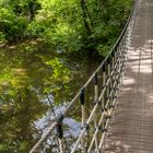 Hängebrücke im Auenwald