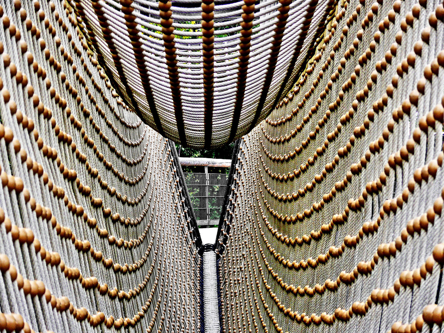 Hängebrücke im Baumwipfelpfad