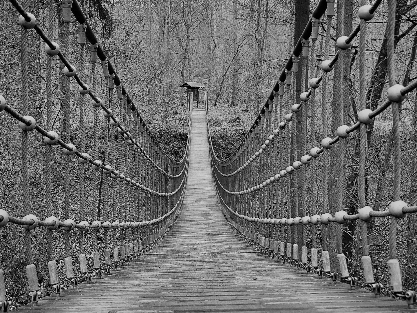 Hängebrücke im Binger Wald 