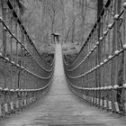 Hängebrücke im Binger Wald 