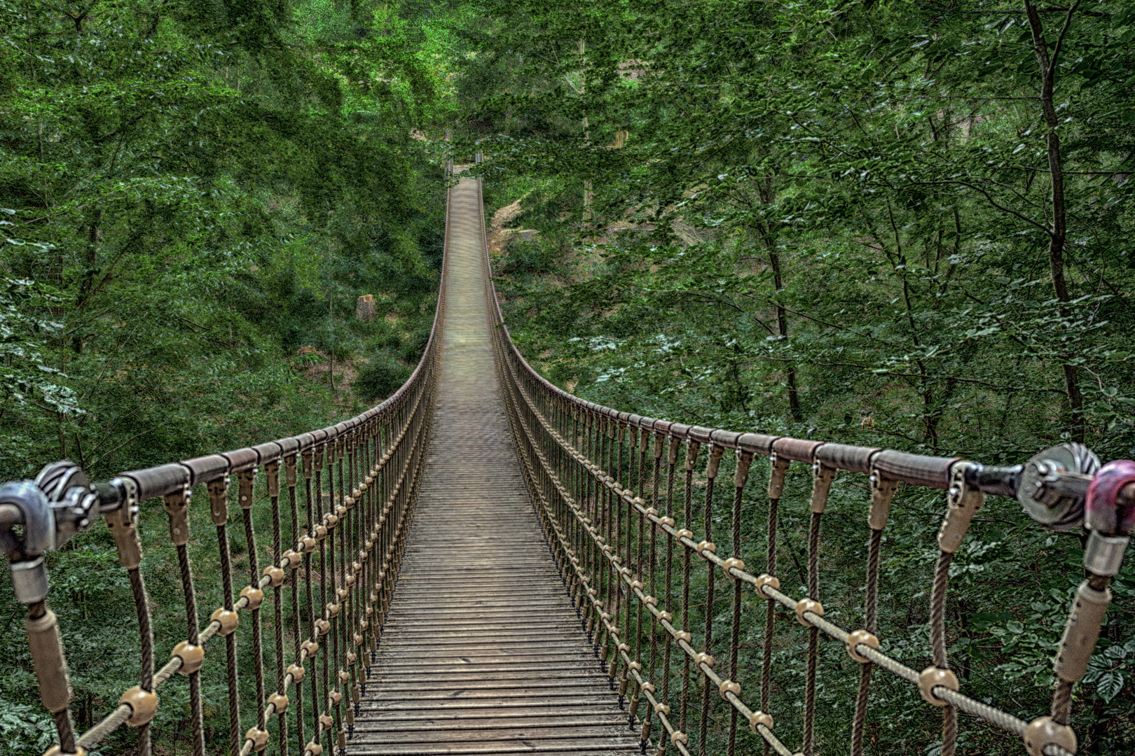 Hängebrücke im Binger Wald Foto & Bild architektur, motive, straßen