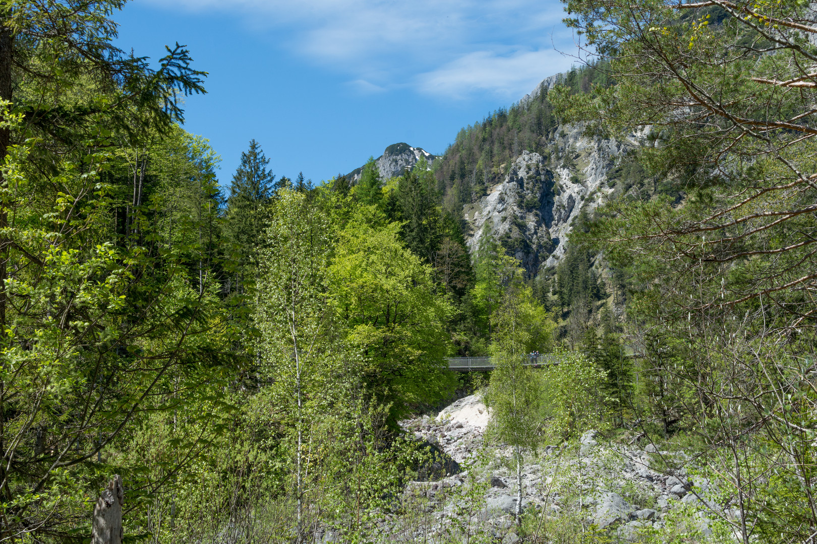 Hängebrücke im Klausbachtal (Nationalpark Berchtesgaden)