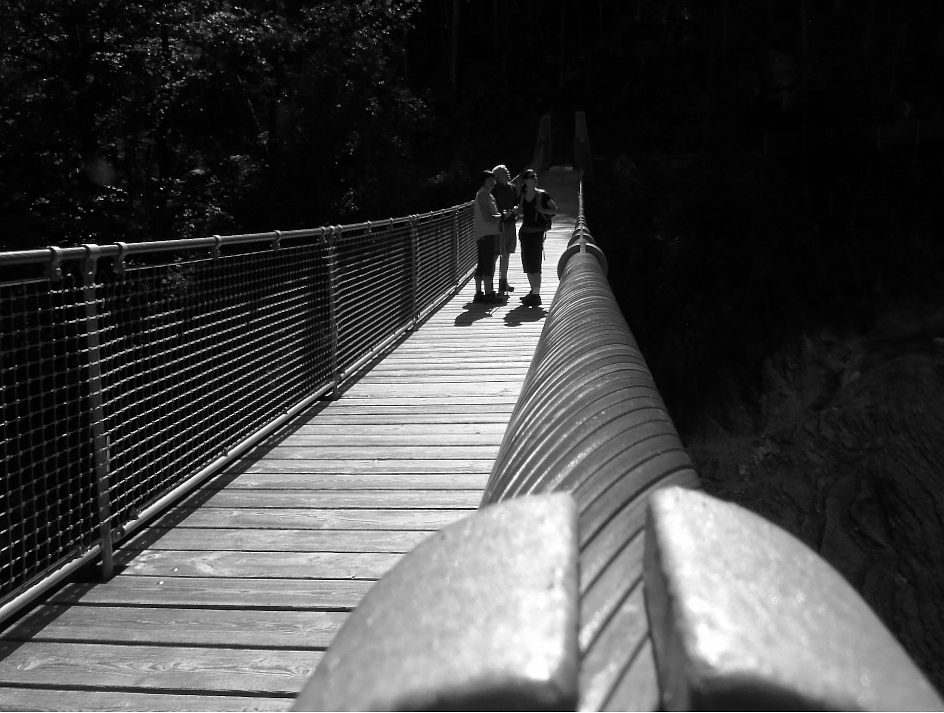 Hängebrücke im Klausbachtal (Ramsau BGL)