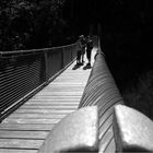 Hängebrücke im Klausbachtal (Ramsau BGL)