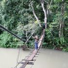 Hängebrücke im Urwald