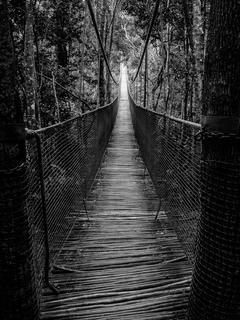 Hängebrücke in Südafrika