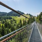 Hängebrücke SkyWalk