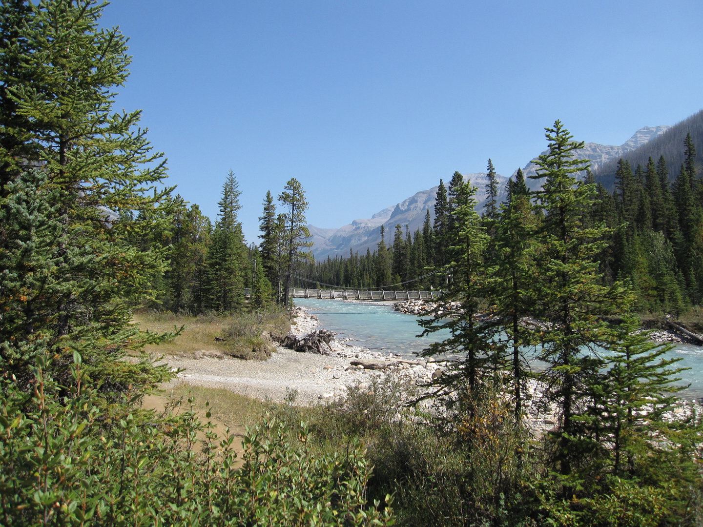 Hängebrücke über den Vermillion River (Kootenay Nat. Park) 2009