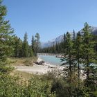 Hängebrücke über den Vermillion River (Kootenay Nat. Park) 2009