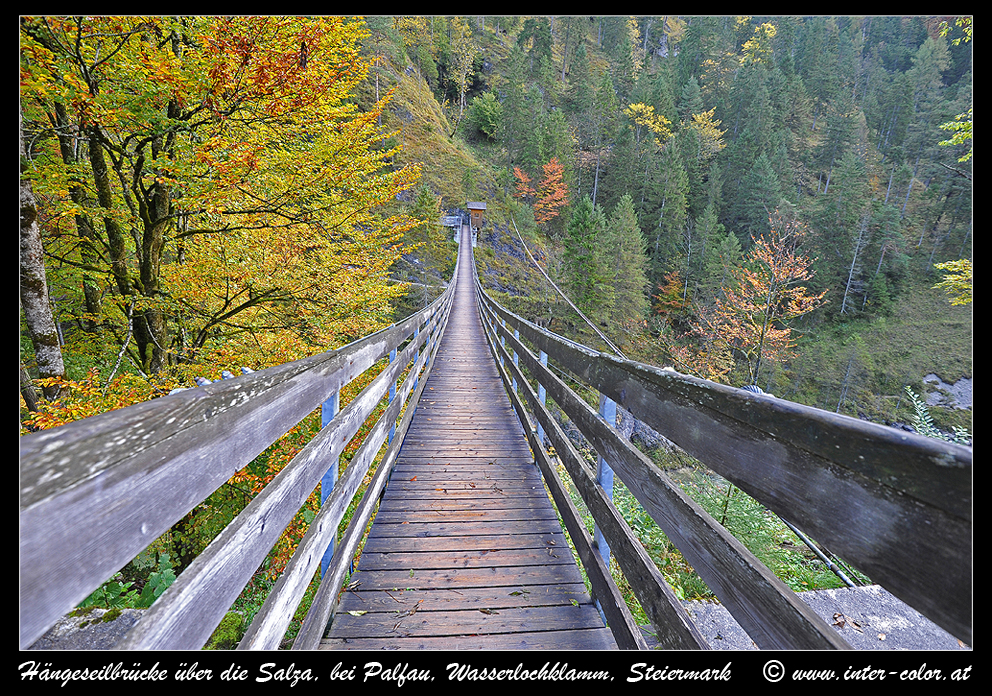 Hängebrücke über die Salza