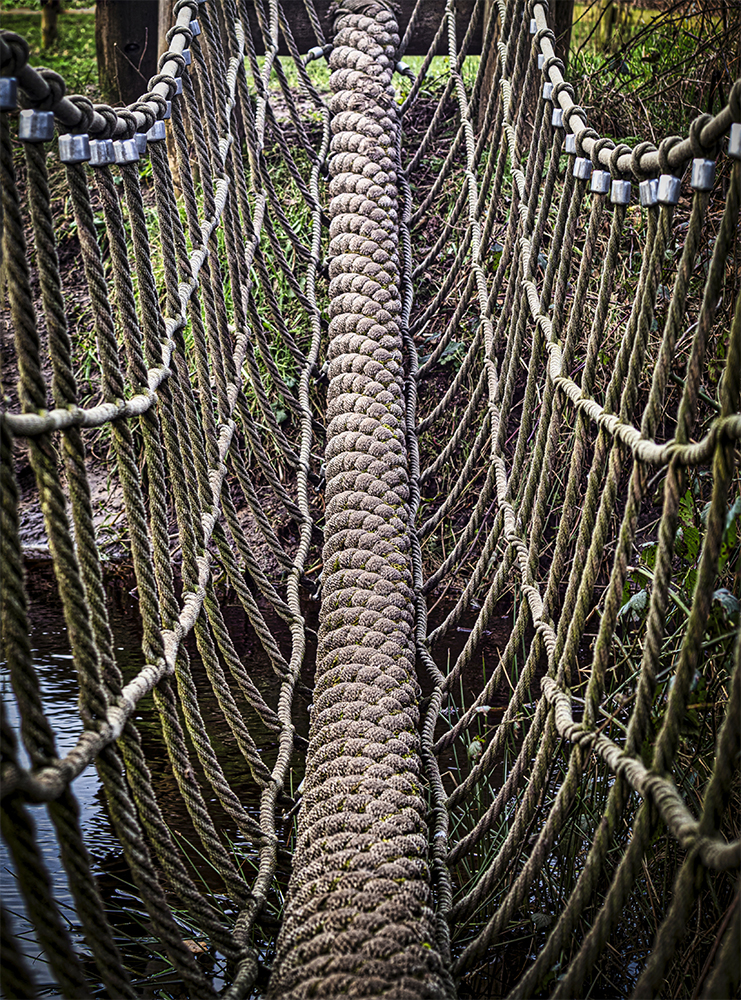 Hängebrücke über die Tarpenbek (Motiv)