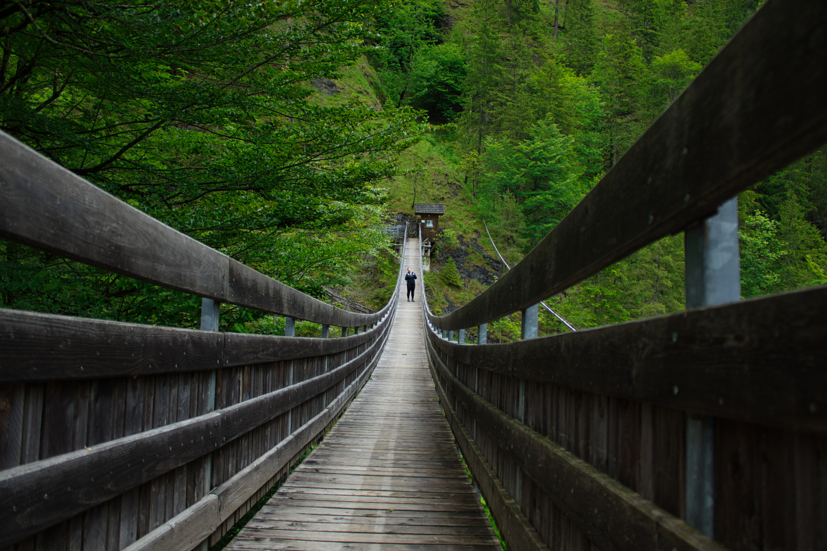 Hängebrücke Wasserlochklamm Palfau