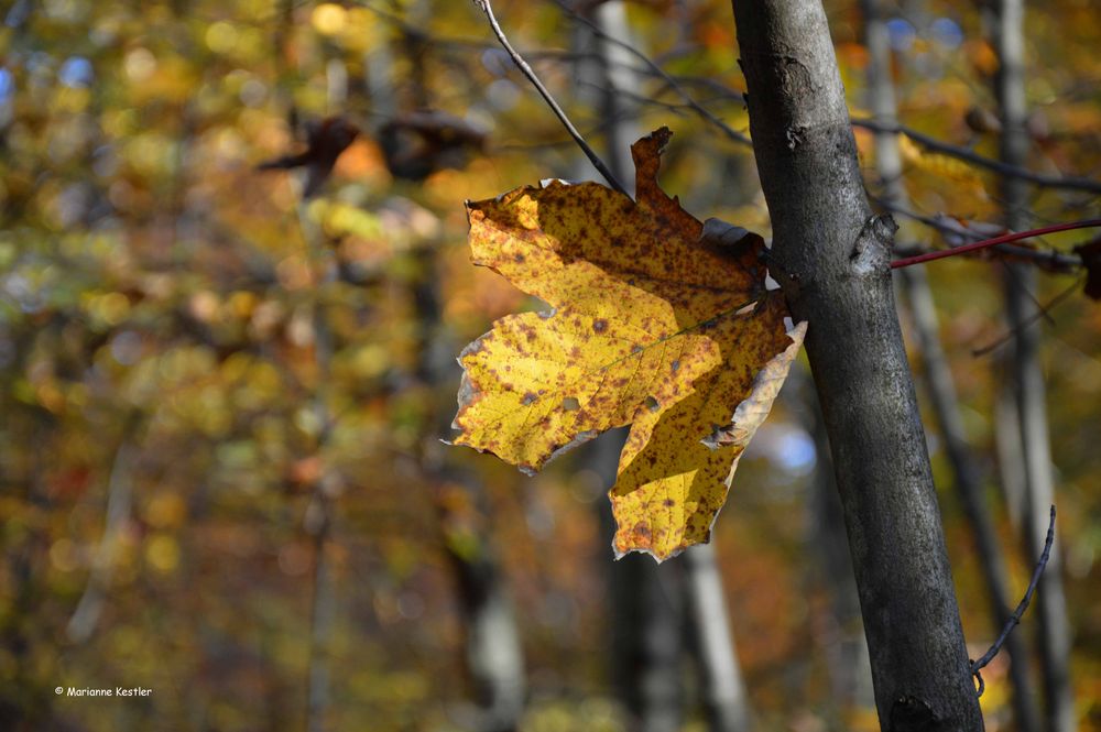 Hängen geblieben im freien Fall