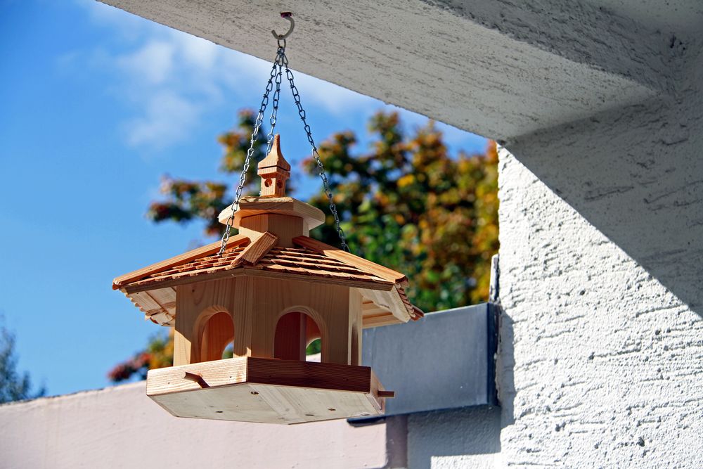 Hängendes Vogelhaus in auf meiner Terrasse Foto & Bild jahreszeiten
