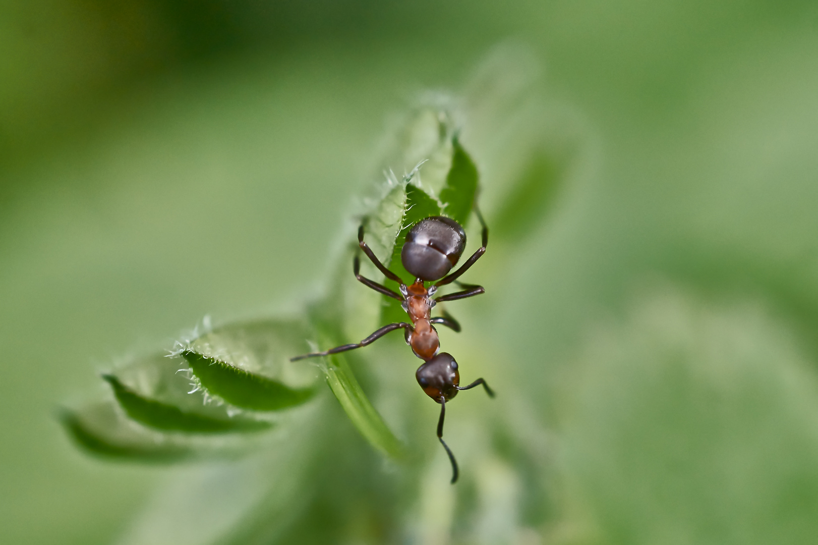 Hängepartie Foto & Bild Bilder auf
