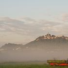 Hänger im Morgennebel