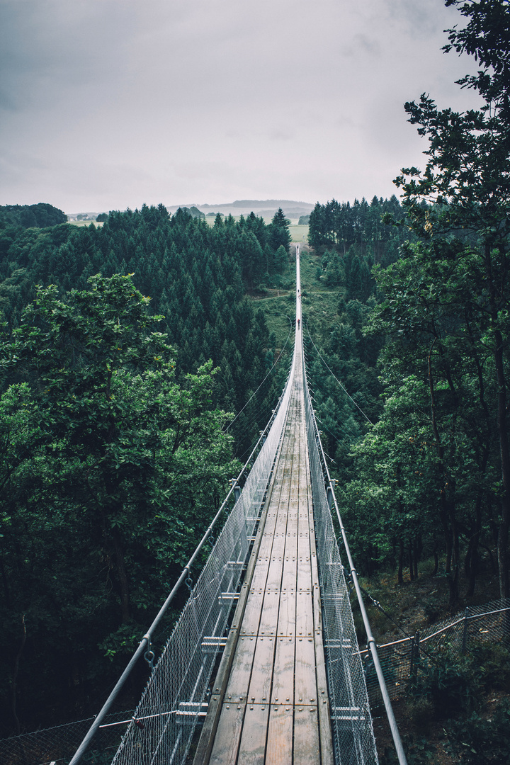 Hängeseilbrcke Geierlay