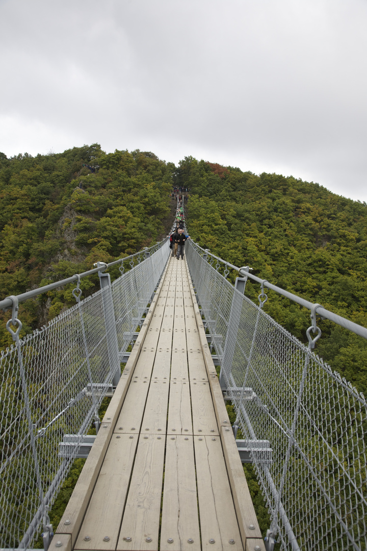 Hängeseilbrücke-Geierlay