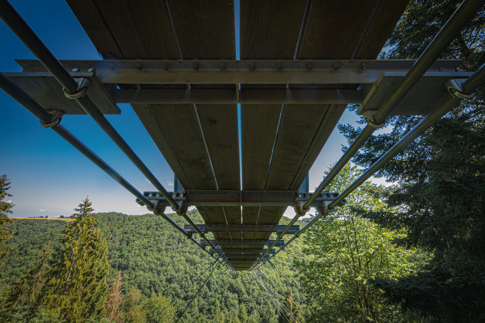 Hängeseilbrücke-Geierlay (2 von 2)