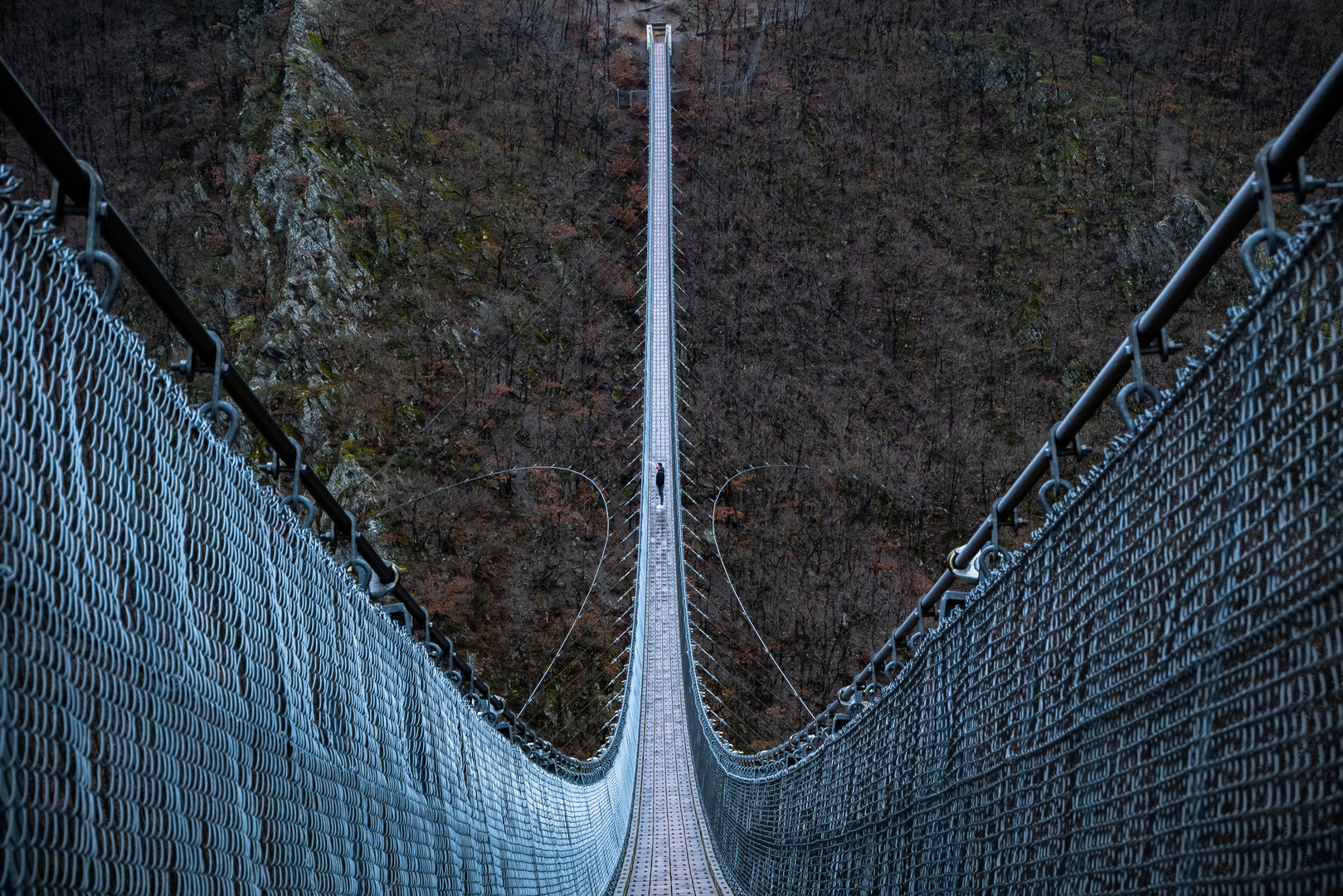 Hängeseilbrücke Geierlay