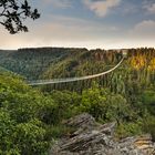 Hängeseilbrücke Geierlay