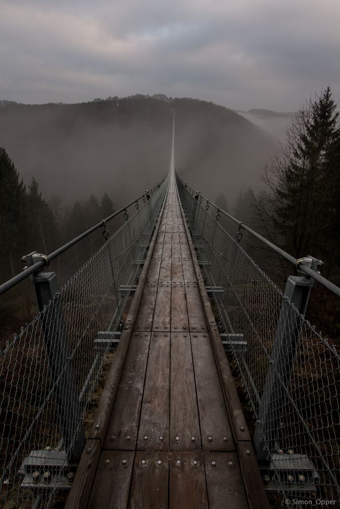 Hngeseilbrcke Geierlay Foto & Bild | Landschaft, Nature, Brcke