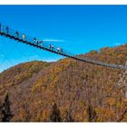 Hängeseilbrücke Geierlay