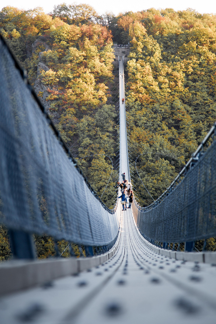 Hängeseilbrücke Geierlay.