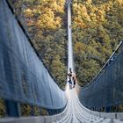 Hängeseilbrücke Geierlay.