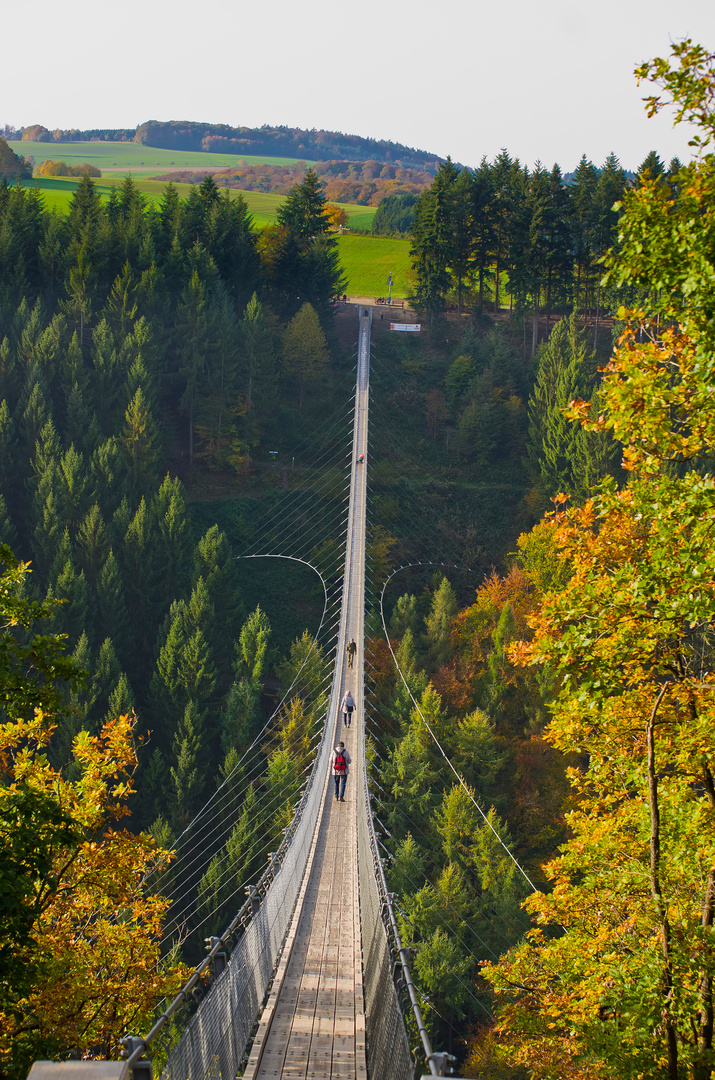 Hängeseilbrücke Geierlay bei Mörsdorf