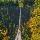 Hängeseilbrücke Geierlay bei Mörsdorf