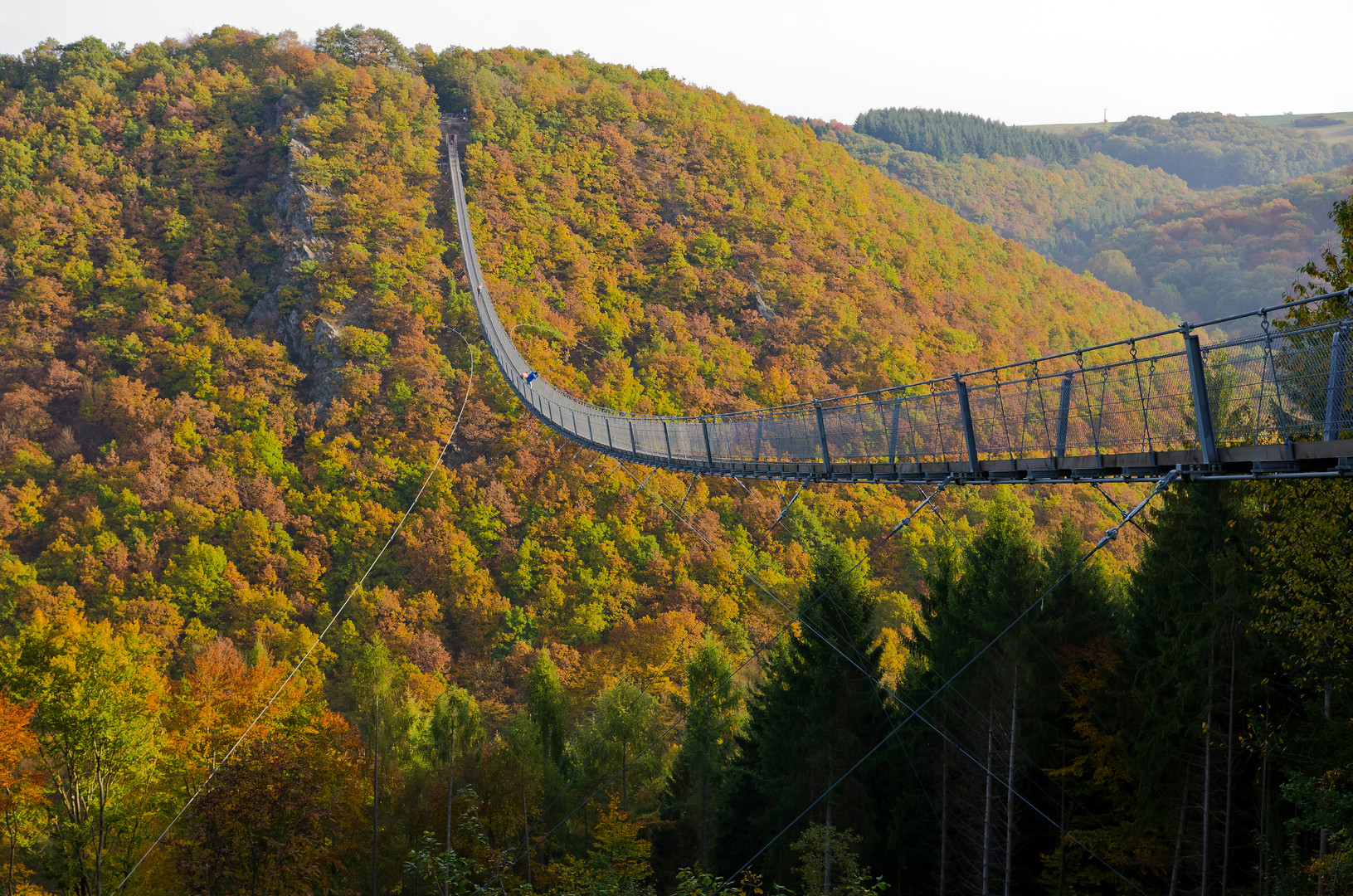 Hängeseilbrücke Geierlay bei Mörsdorf