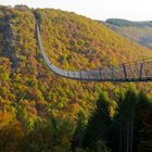 Hängeseilbrücke Geierlay bei Mörsdorf