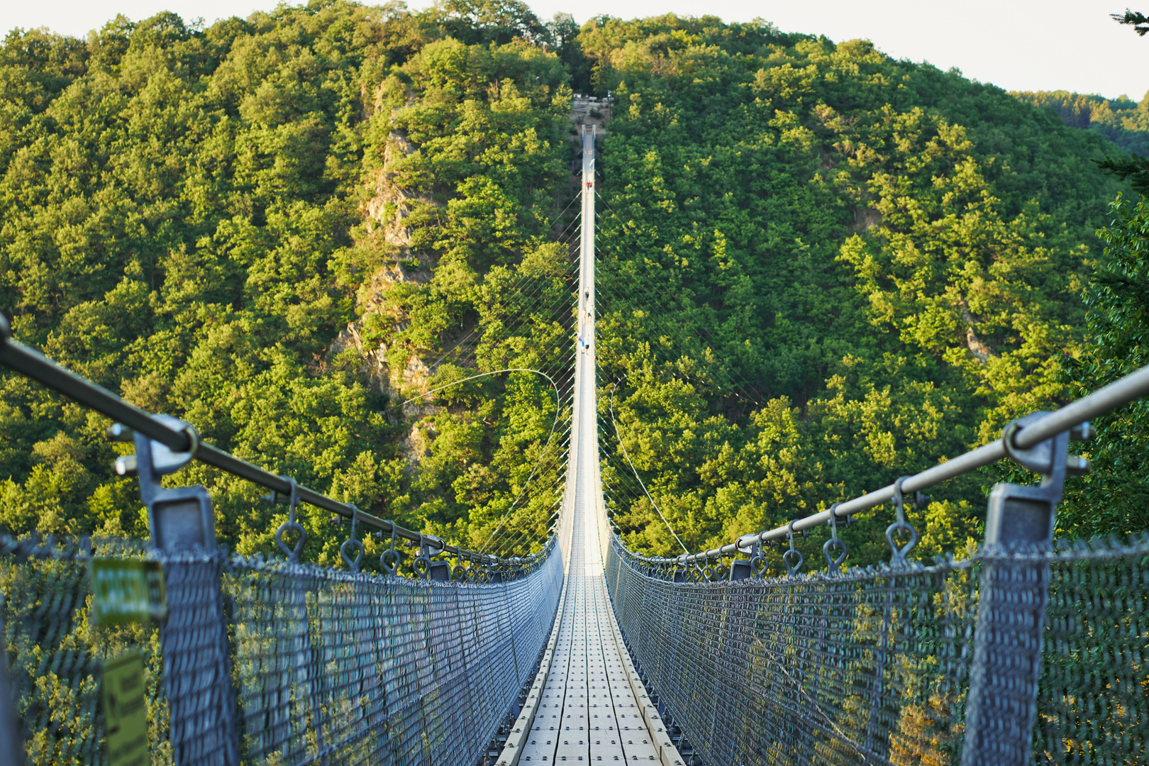 Hängeseilbrücke Geierlay